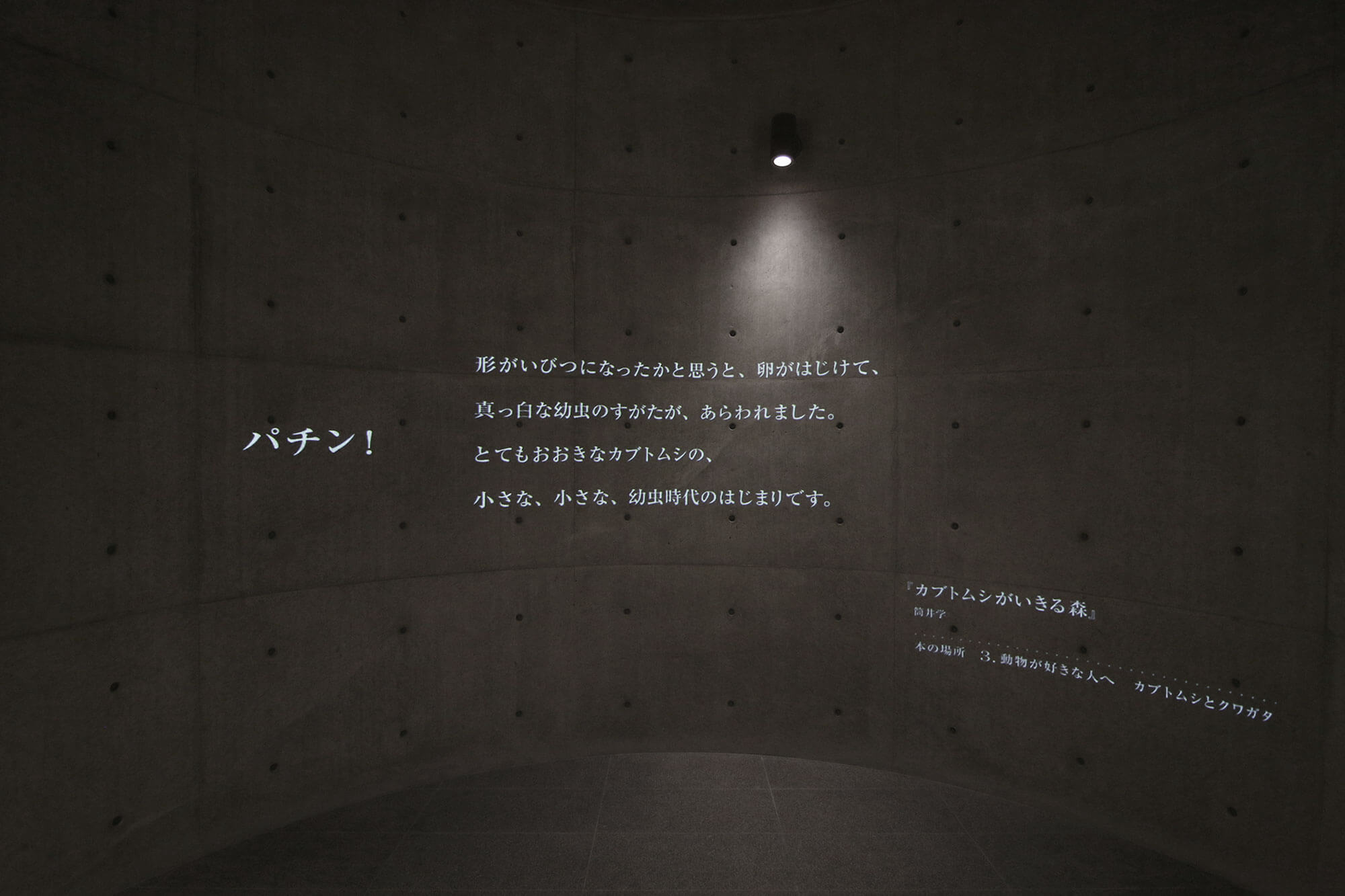 「こども本の森　中之島」アフォリズムアニメーション