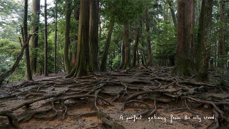 HOTEL RINGS KYOTO BRANDING
