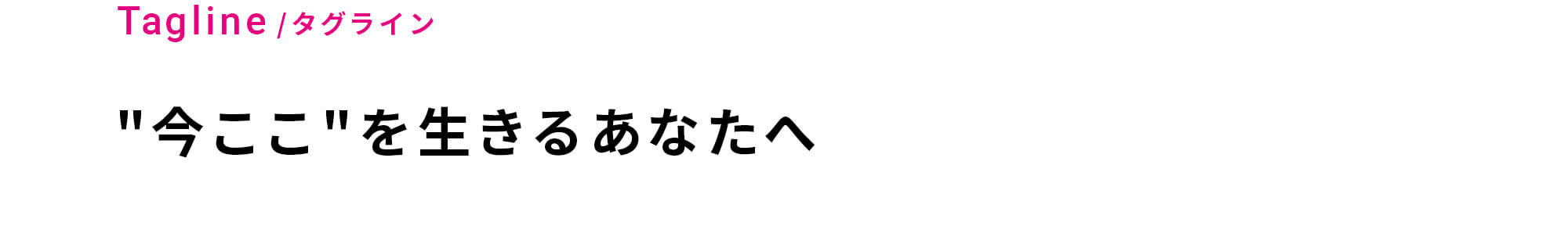 ベアーズ ブランディング プロジェクト
